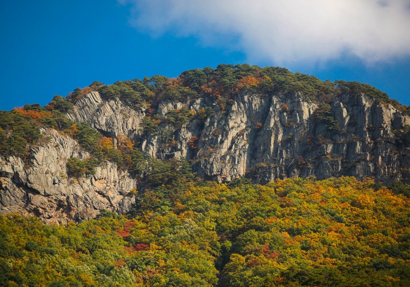 포토갤러리